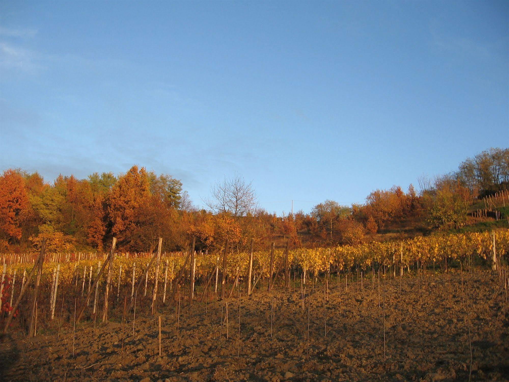Agriturismo Cascina Tollu San Giacomo  Esterno foto