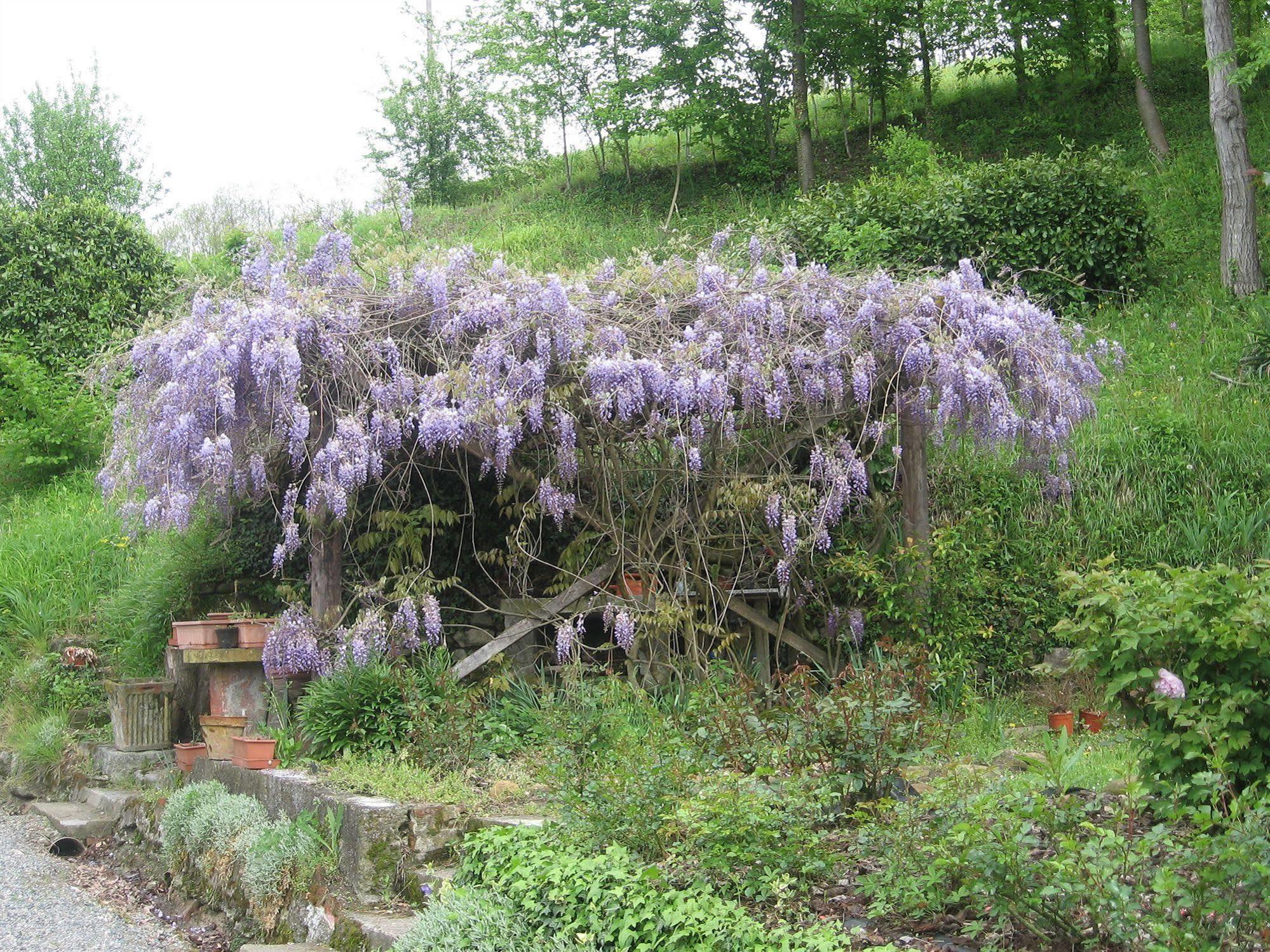 Agriturismo Cascina Tollu San Giacomo  Esterno foto