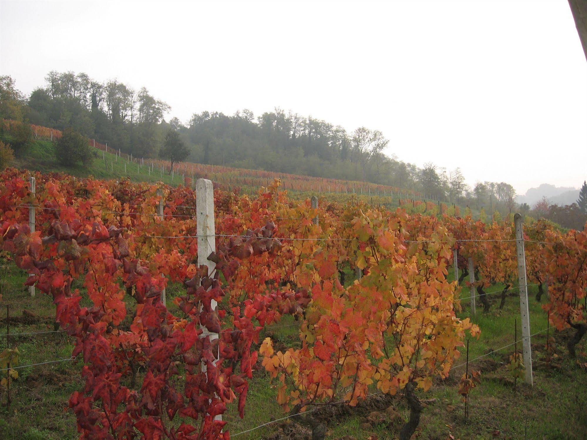Agriturismo Cascina Tollu San Giacomo  Esterno foto